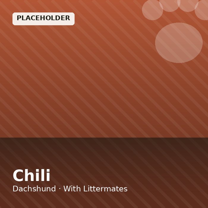 Chili photo 4
