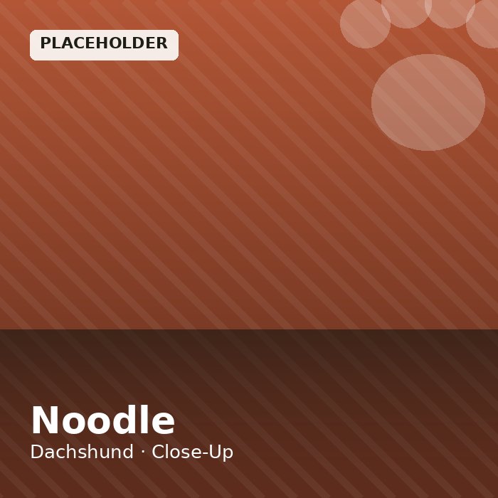 Noodle photo 3