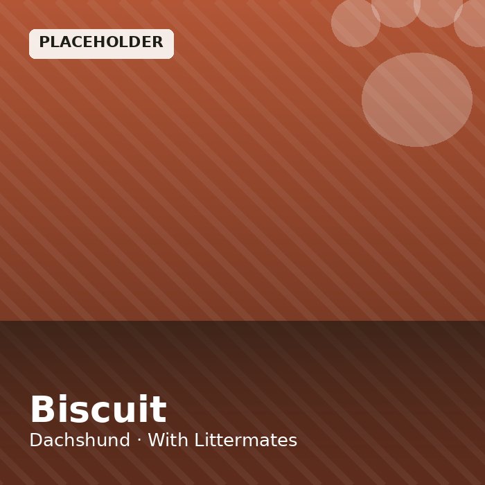 Biscuit photo 4