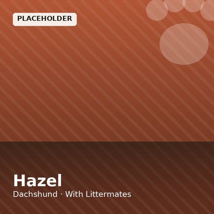 Hazel photo 4