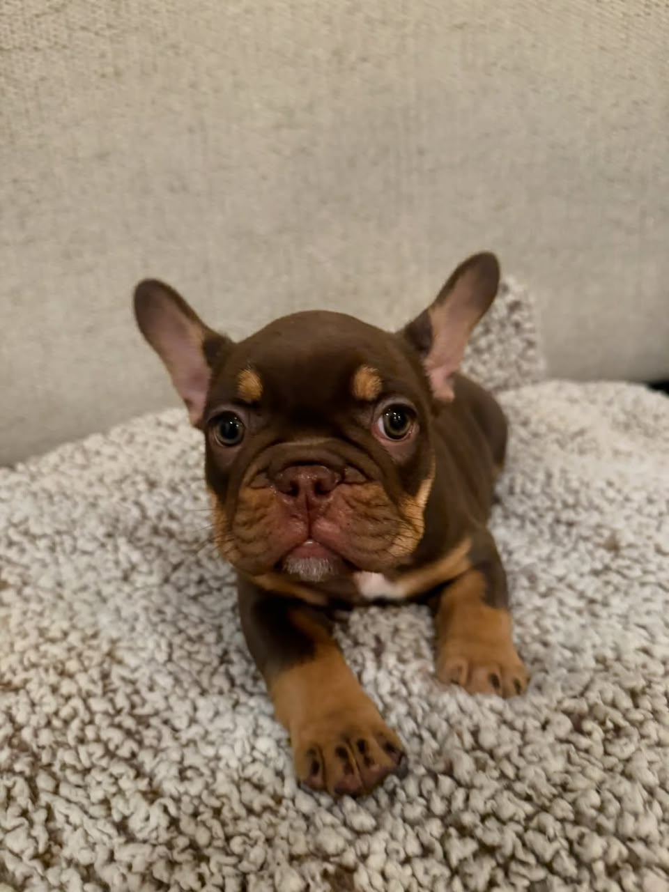 Otis photo 2