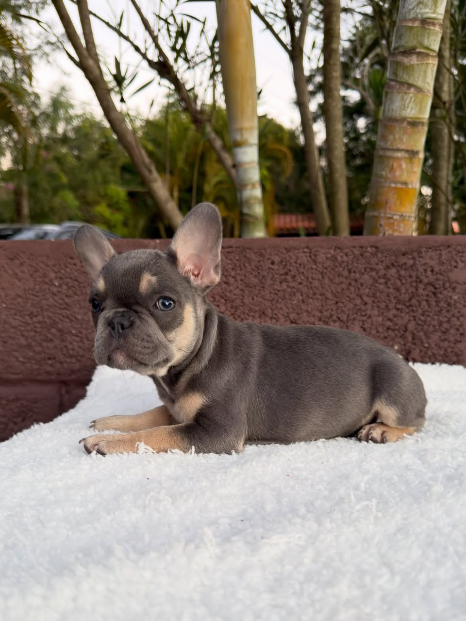 Winston photo 3