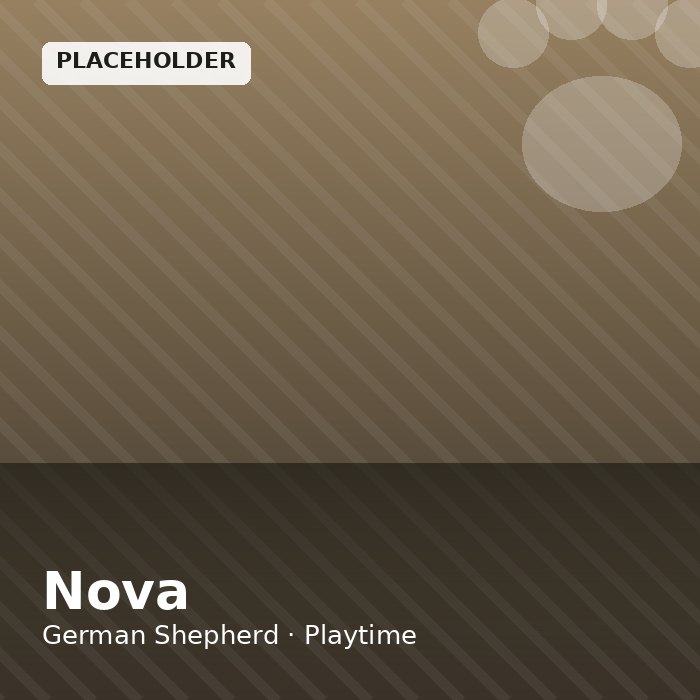 Nova photo 2
