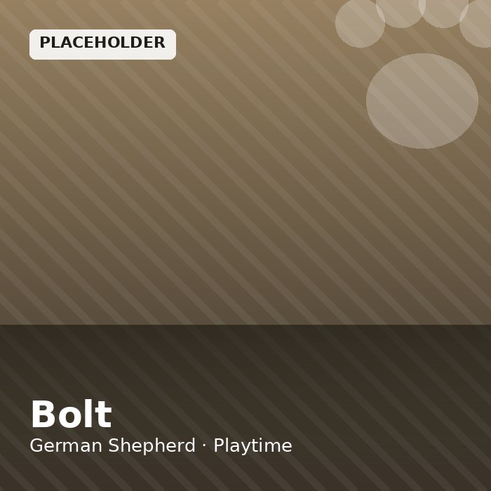 Bolt photo 2
