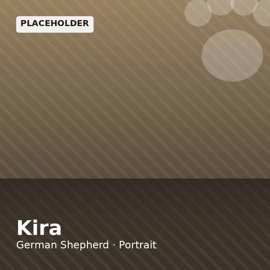 Kira, German Shepherd puppy, Male, Solid Black
