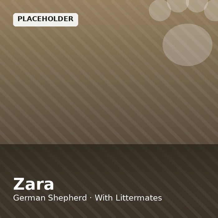 Zara photo 4