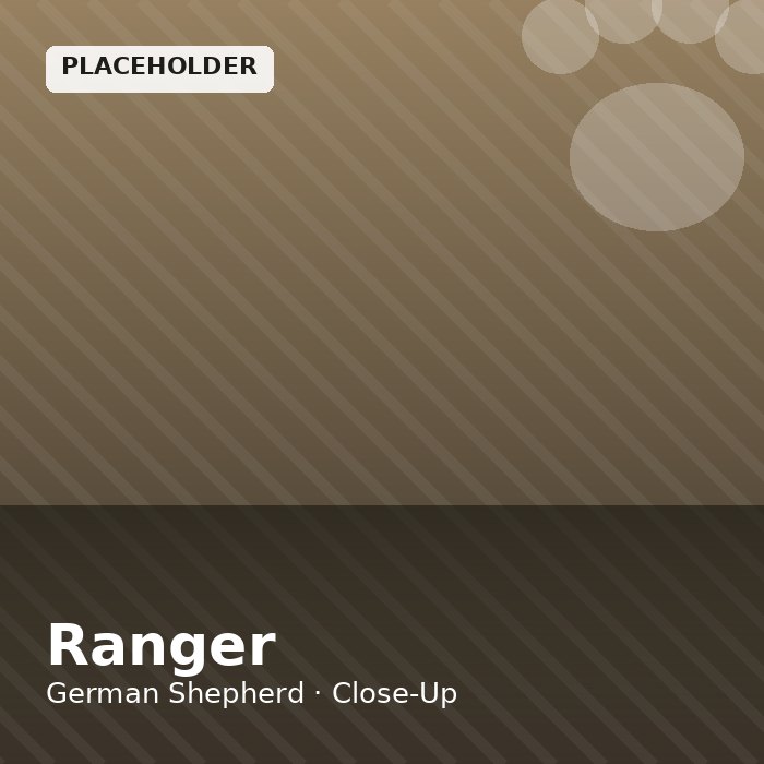 Ranger photo 3