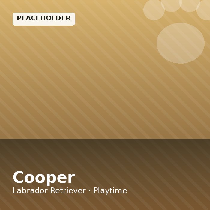 Cooper photo 2